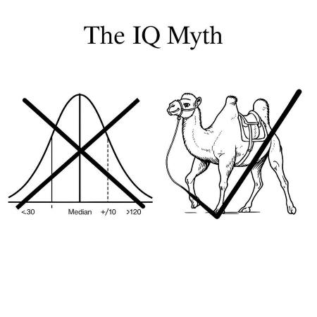 iq myth